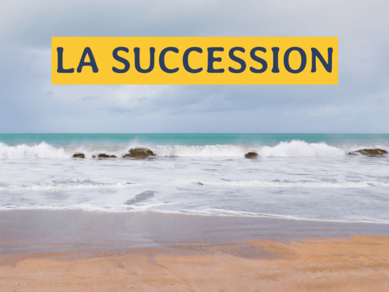 La Succession escape game à la baule